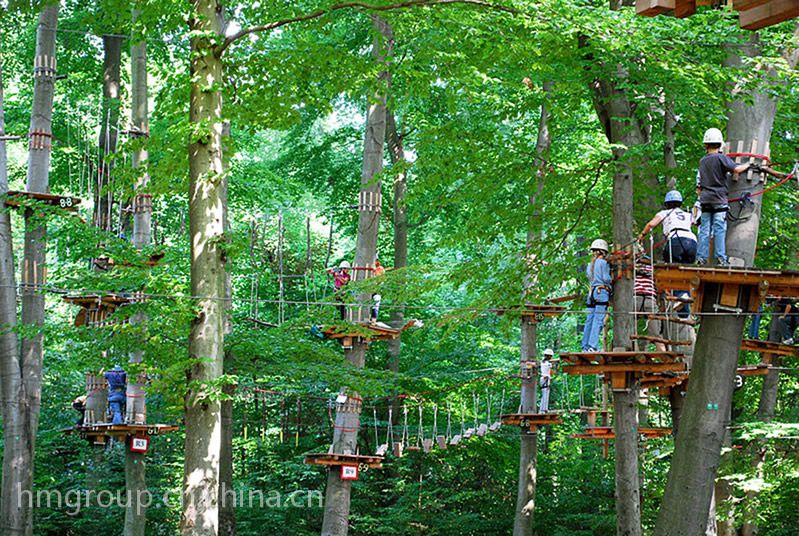 供应历奇树上探险公园冒险树飞越丛林treetop森林探险规划设计建设