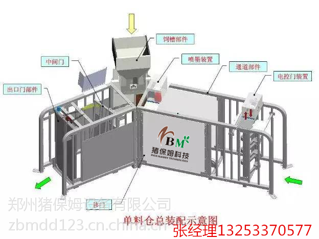 母猪智能化饲喂站