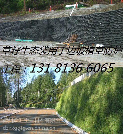 供应湖南生态袋生态袋厂家生态袋荒山复绿三维植被网厂家草籽生态袋