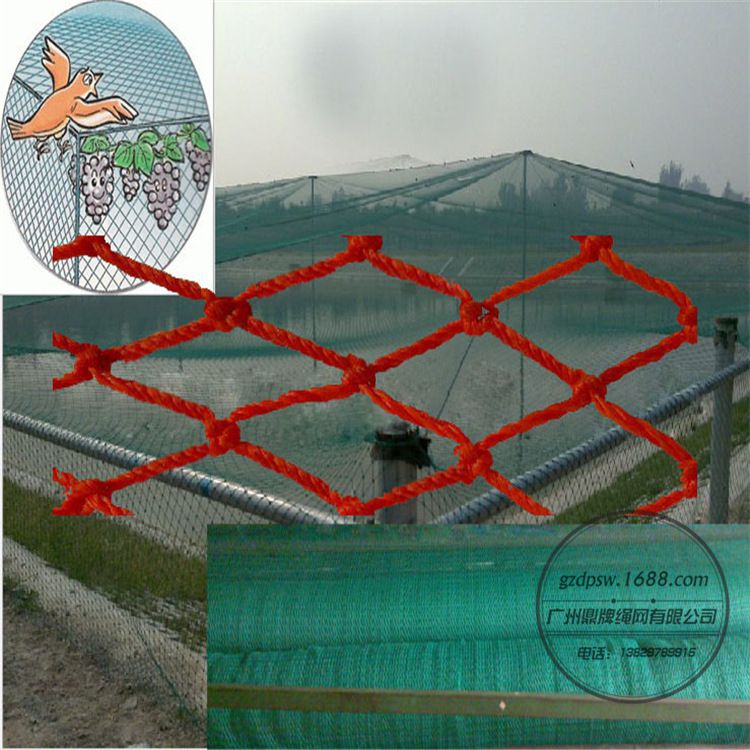 供应广州机场防鸟网高速公路铁路防鸟网围网批发价格