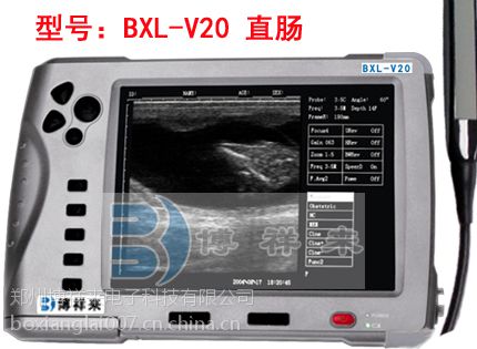 便携式兽用b超机
