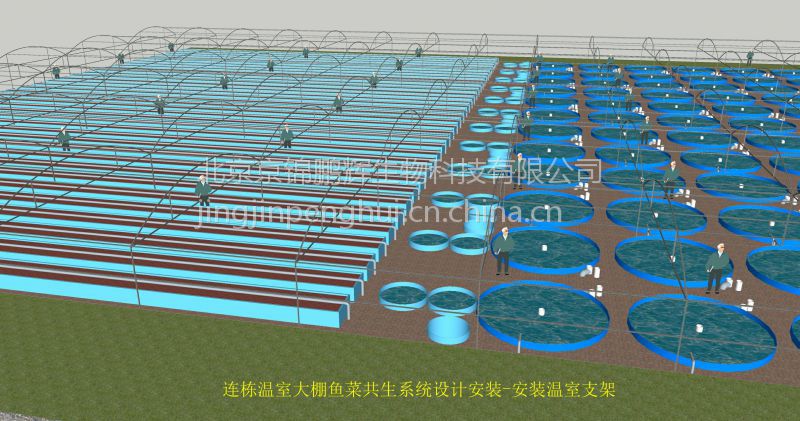 鱼菜共生循环种养殖工厂车间设计建筑安装温室大棚工厂化养鱼 温室鱼