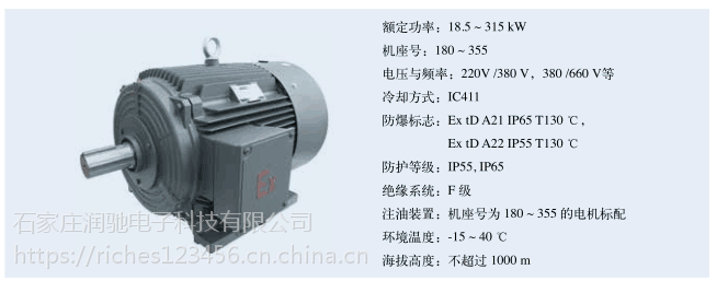 石家庄润驰贝得粉尘防爆电机22kw4级1mt00111eb433aa4原装