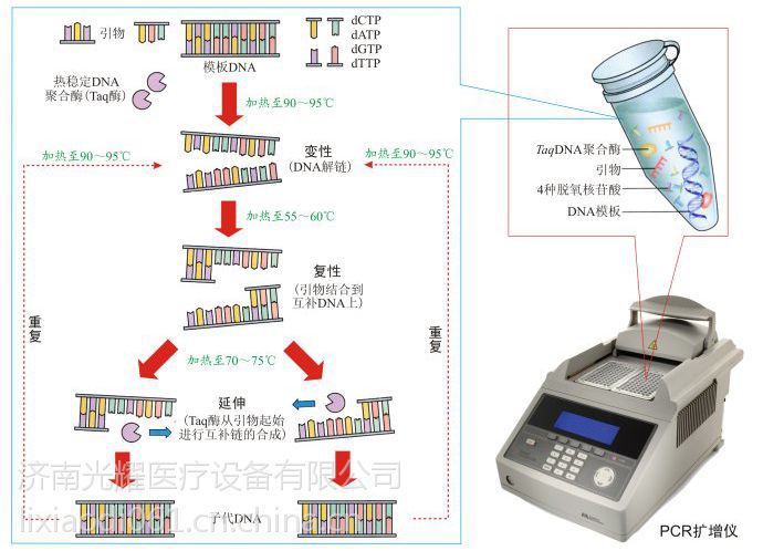 实验室pcr基因扩增仪天隆科技genesy96t96孔