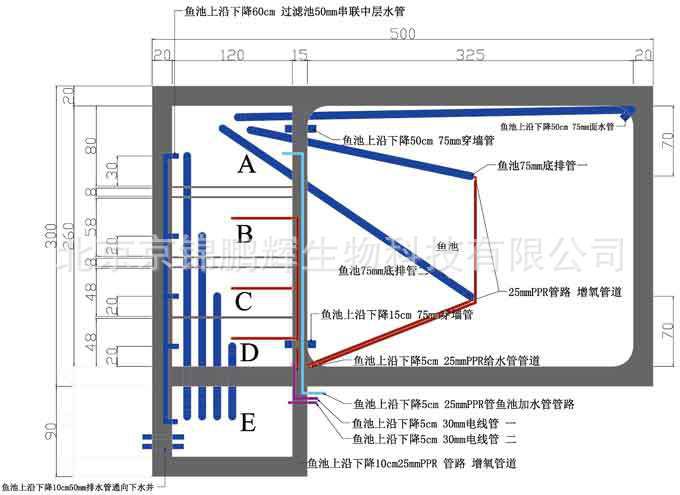 锦鲤鱼池设计建造方案 锦鲤鱼池设计施工图纸