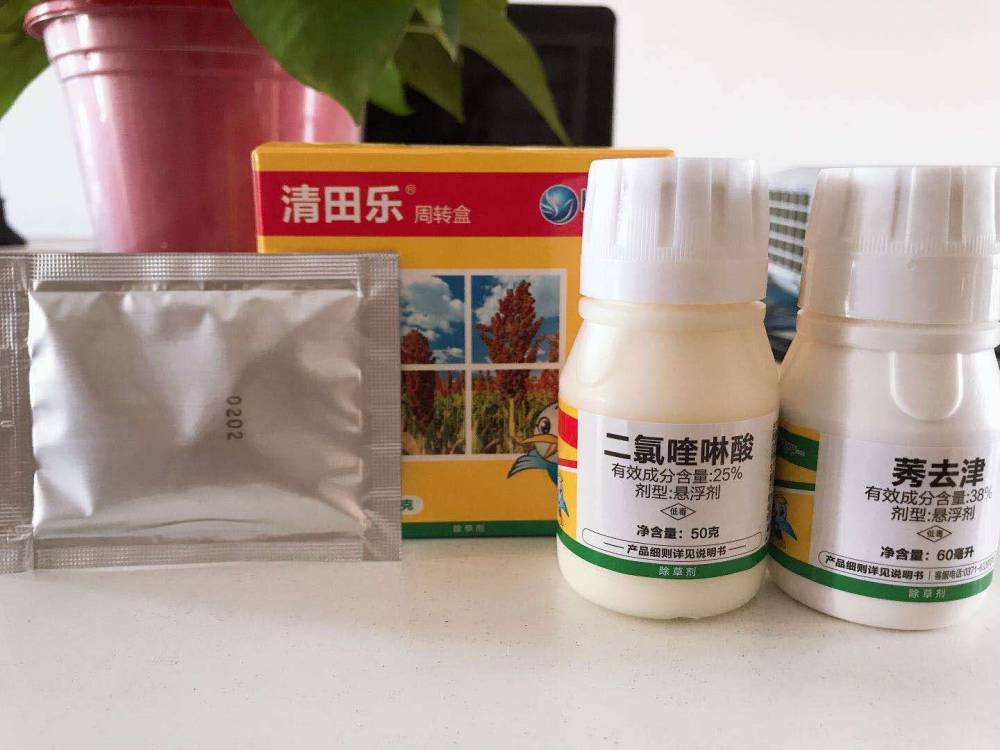 红缨子甜小糯高粱除草剂效果好的高粱除草剂高粱用什么除草剂