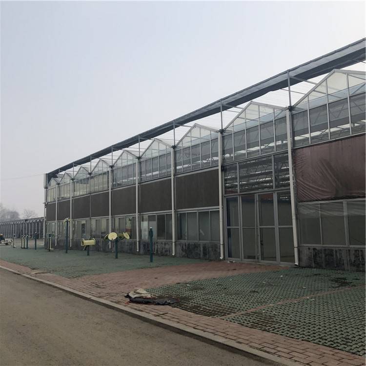温室大棚玻璃温室 玻璃温室餐厅造价 山西玻璃温室大棚