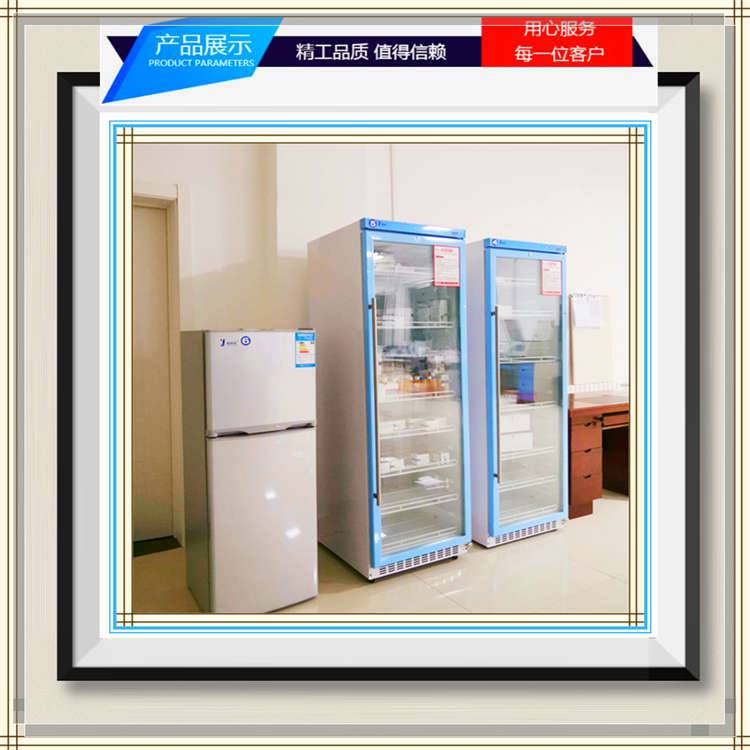 电池恒温测试箱25℃FYL-YS-828L25度测试箱