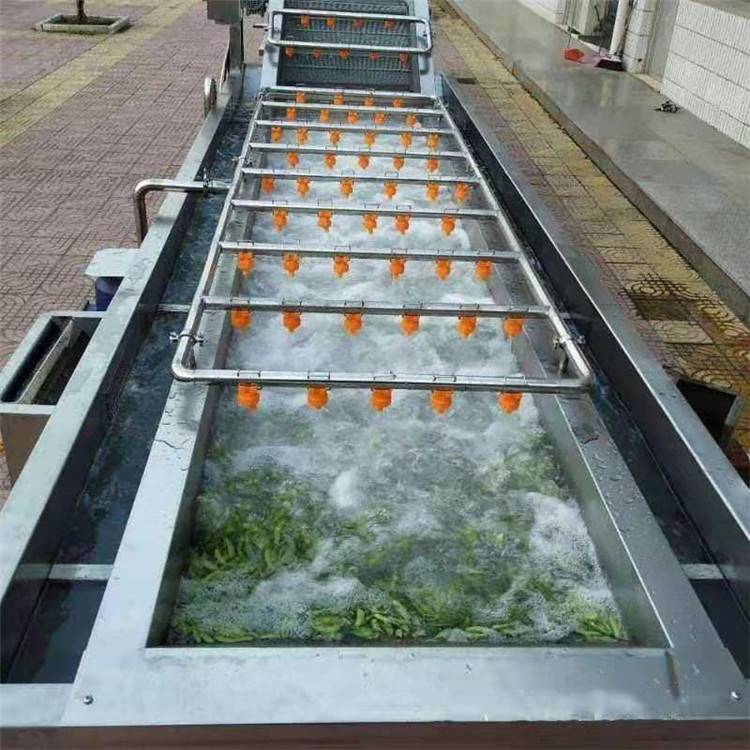 景翔牌大葱清洗机 果蔬清洗机 西蓝花清洗机***加工制作