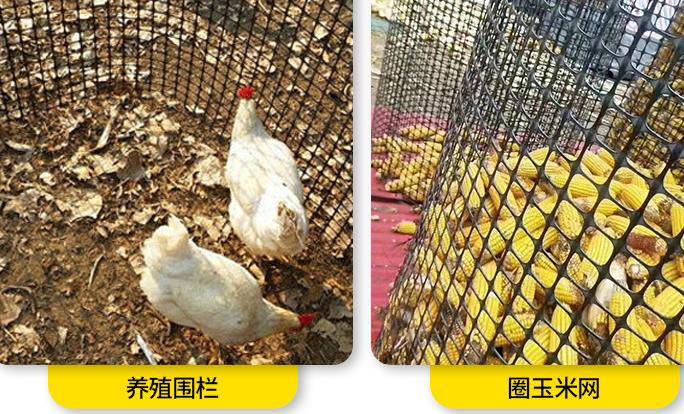 盈江县林下果园养殖网种植网-鱼塘鸡鸭鹅养殖网-市政园林围栏网