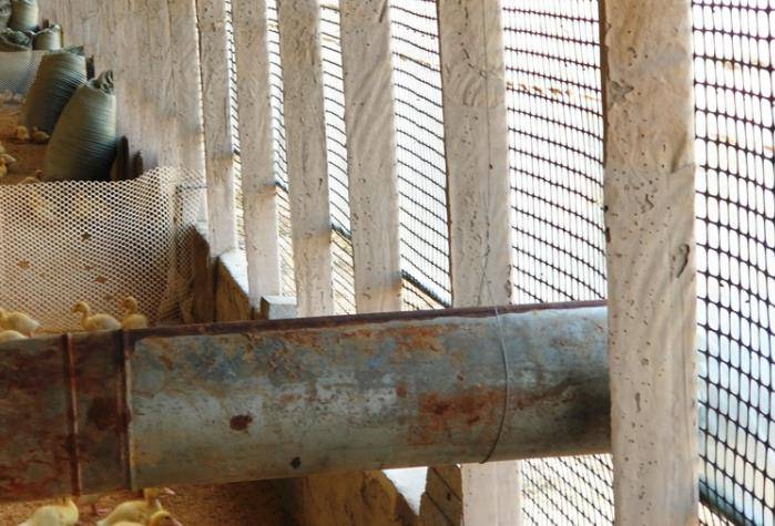 宣威市林下果园养殖网种植网-鱼塘鸡鸭鹅养殖网-市政园林围栏网