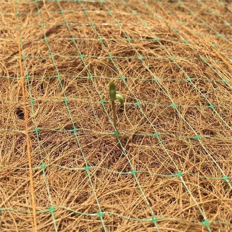 梅州椰丝植生毯 边坡植被垫厂家供应/价格已更新