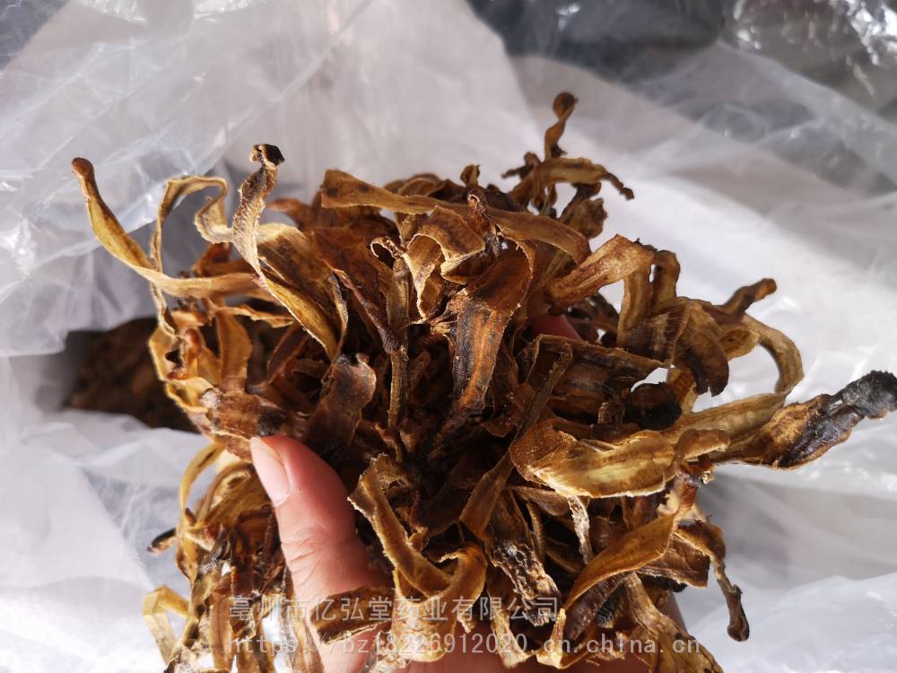 蚯蚓干价格中药材蚯蚓干的药用价值地龙批发