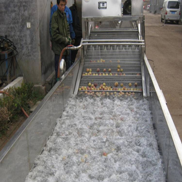 景翔牌野菜清洗机 ***清洗机 蔬菜气泡清洗机现货齐全