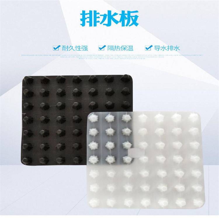 德州蓄排水板厂家-泰东蓄排水板抗压300kpa