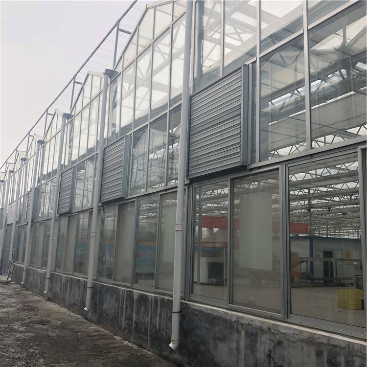 温室大棚玻璃温室 玻璃温室餐厅造价 山西玻璃温室大棚