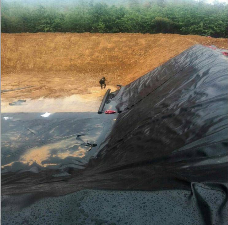 剑川县HDPE防渗膜-防渗土工膜-糙面防渗PE膜