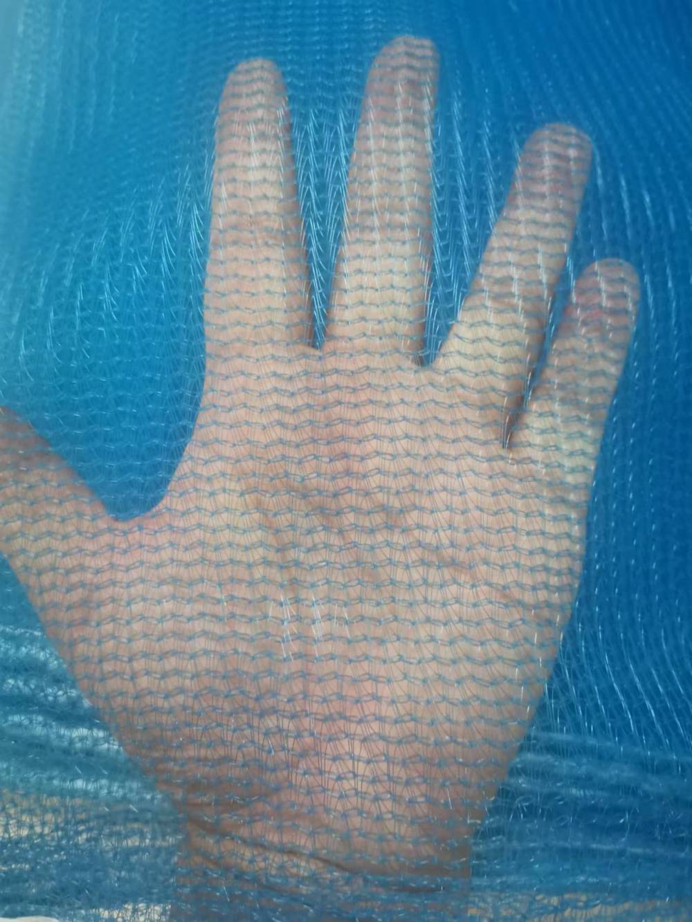 彝良县安-6X1.8米密目网-密目式安