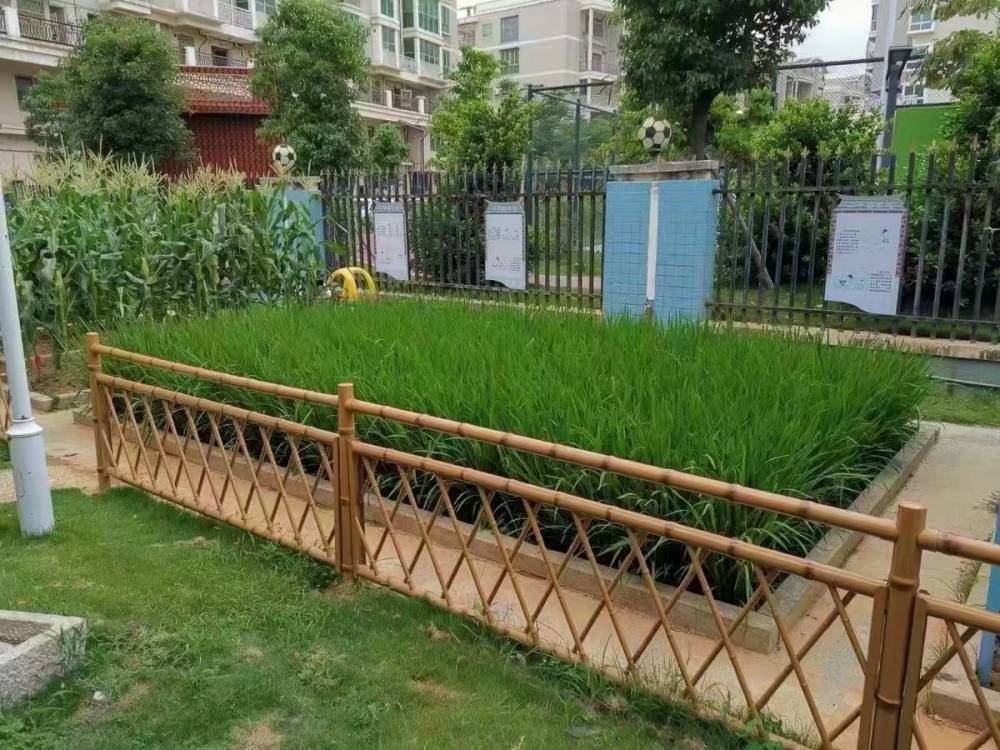 宁波宁海仿竹栅栏碳化竹子竹篱笆仿竹栅栏
