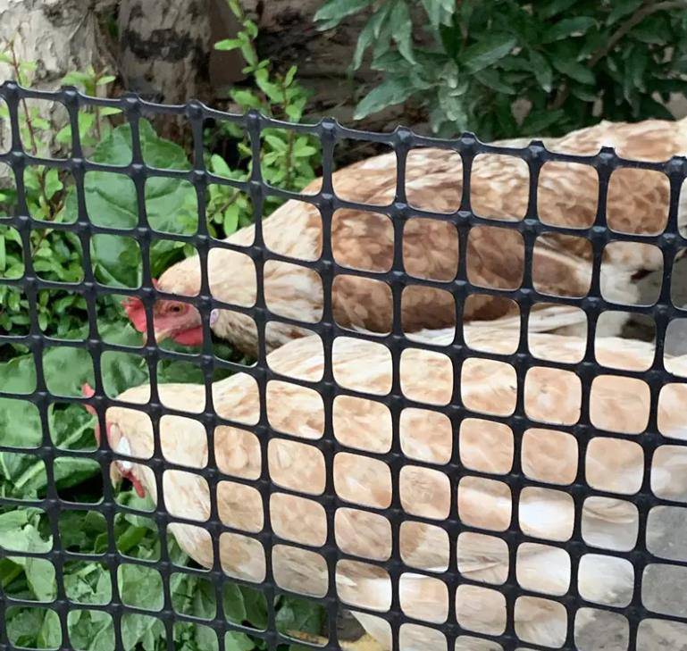 禄丰县养殖网-塑料养殖网-养殖养鱼网