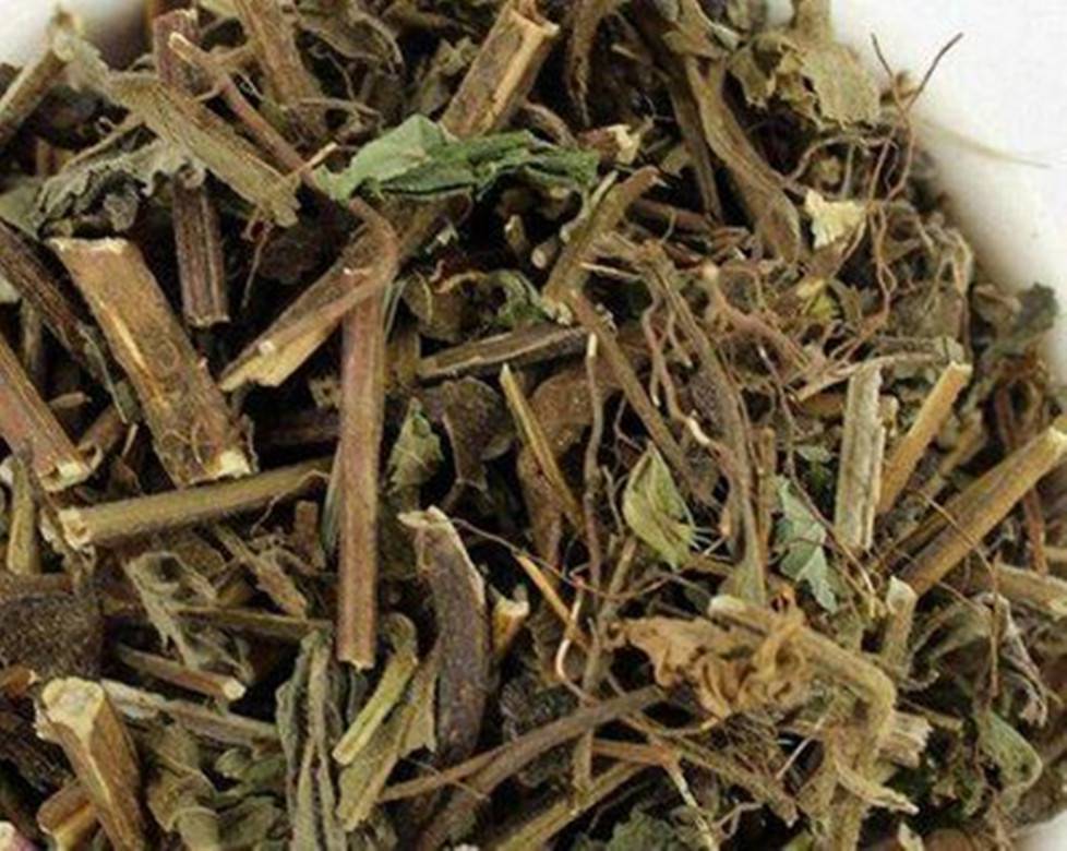 筋骨草多少钱一斤筋骨草功效与作用