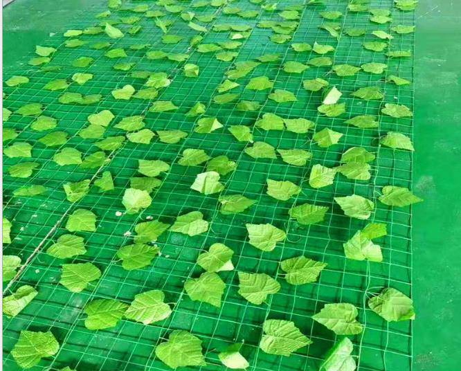 富源县树叶网绿叶网-山坡防滑坡树叶网