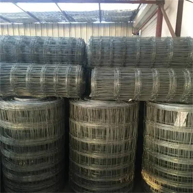 乌鲁木齐草原网销售/乌鲁木齐草原铁丝网厂家/新疆捷信金业