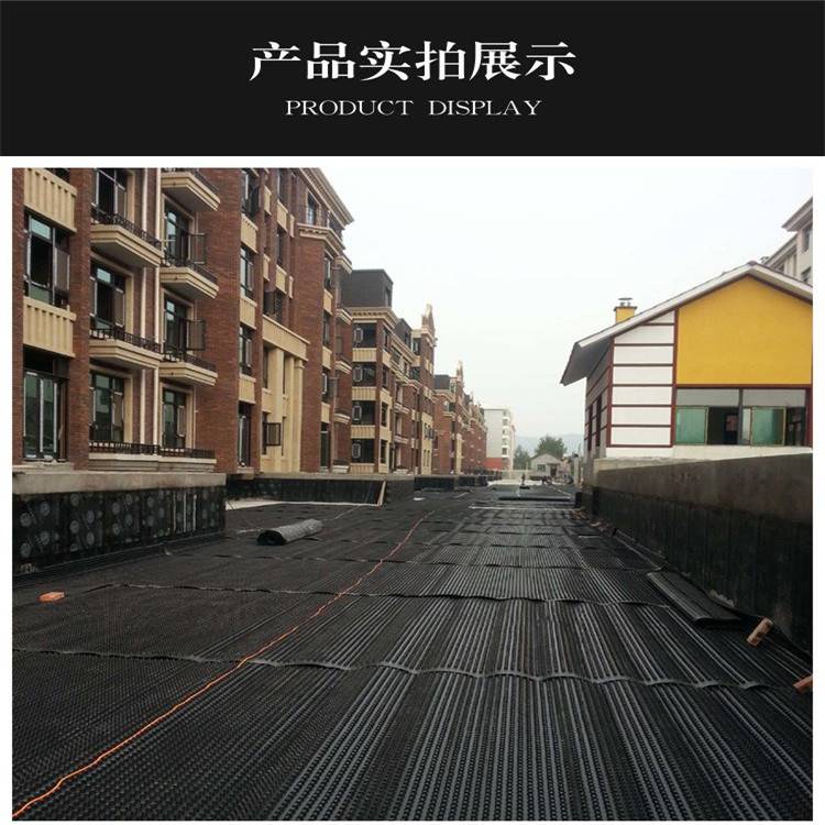 平泉蓄排水板厂家-泰东蓄排水板抗压300kpa