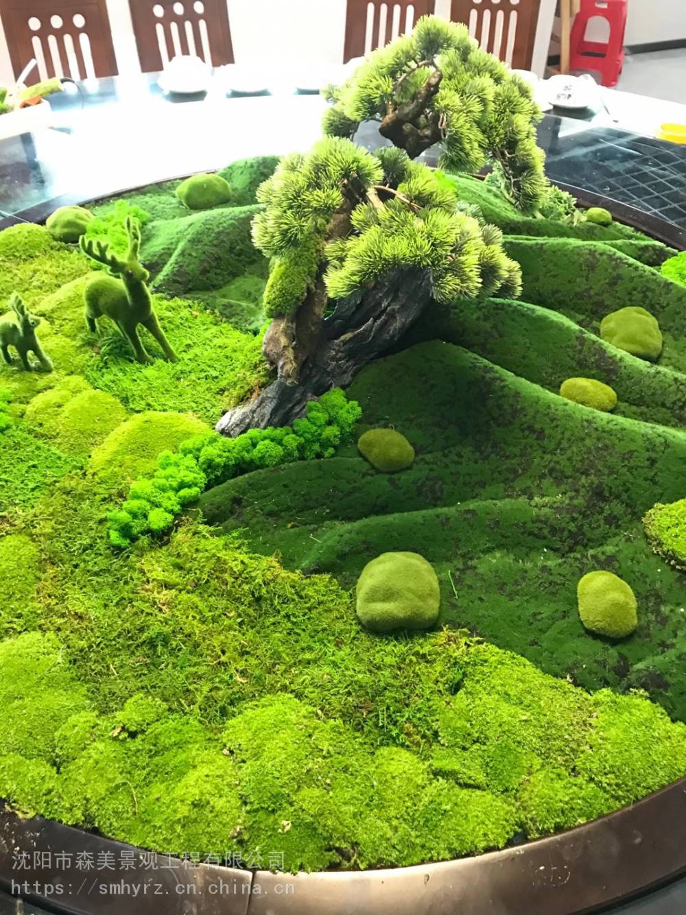 沈阳绿植造景假青苔怎么铺绿植美陈植物造景