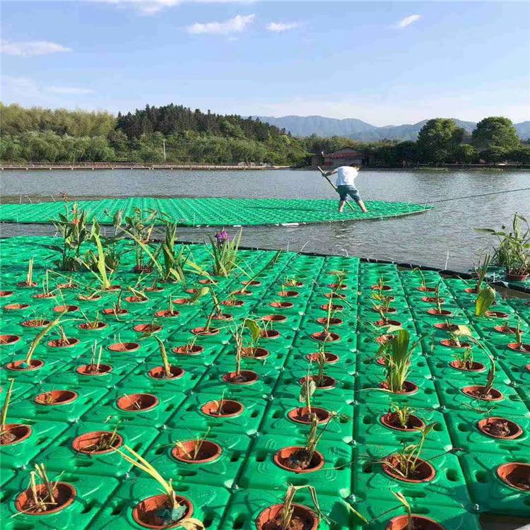 安装水生植物生态浮床生态浮岛单价浮岛施工欢迎咨询