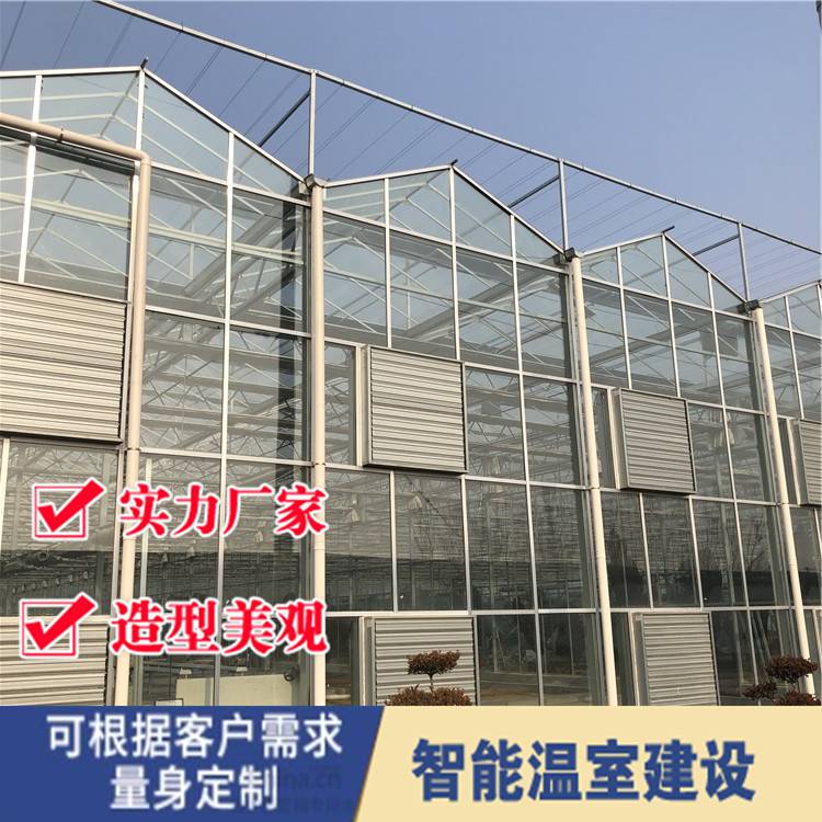 温室大棚温室玻璃大棚 玻璃温室的平方价格 农业智能玻璃温室大棚定制