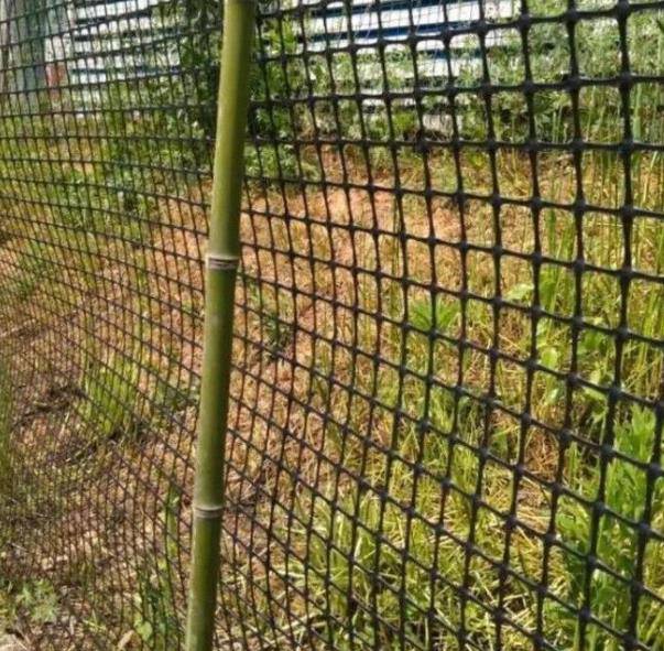 云南省红河哈尼族彝族自治州元阳县林下果园养殖网种植网-鱼塘鸡鸭鹅养殖网-市政园林围栏网