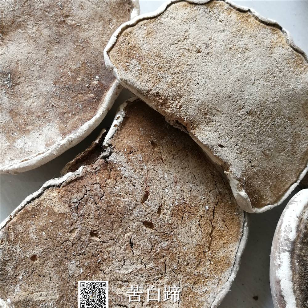 中药材白灵芝价格多少钱一斤