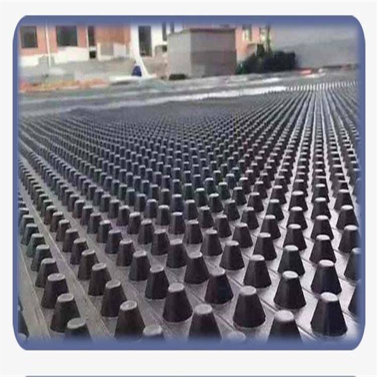 镇江蓄排水板厂家-泰东蓄排水板抗压300kpa