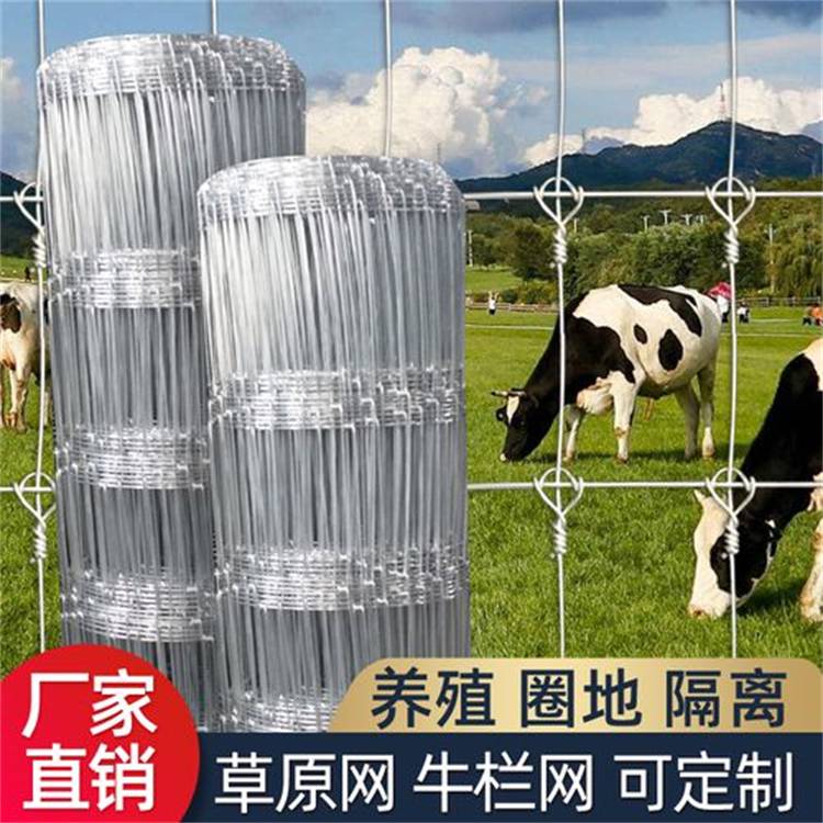 莎车牛栏网供应/乌鲁木齐草原铁丝网厂家/新疆捷信金业