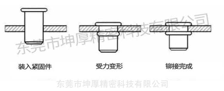 到60年代拉铆螺母的应用逐渐增大,欧洲特别是意大利和法国在铆接螺母