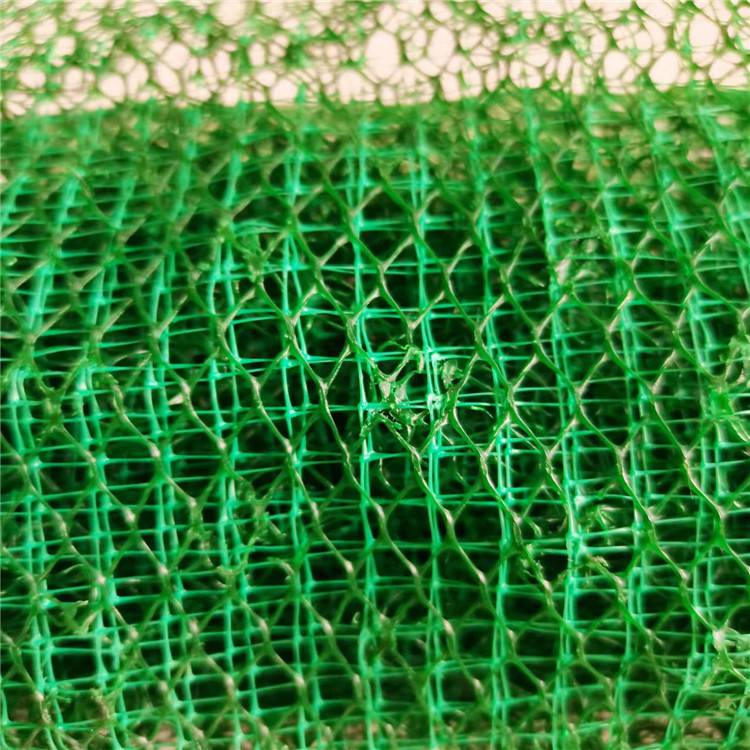 京山三维植被网厂家(京山市丝瓜络结构三维植被网垫实业集团)