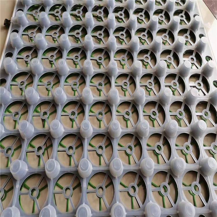 欢迎访问//蓄排水板厂家天长/天长市实业集团