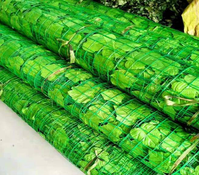 云南省大理宾川县树叶网绿叶网-山坡防滑坡树叶网