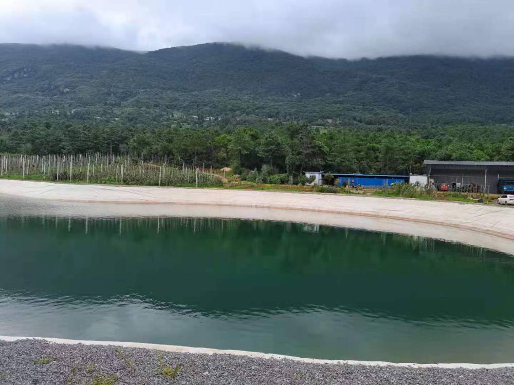 思茅市翠云区水池防渗膜