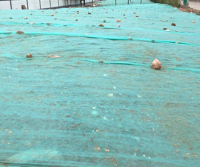 石屏县盖土抑尘绿化土工布