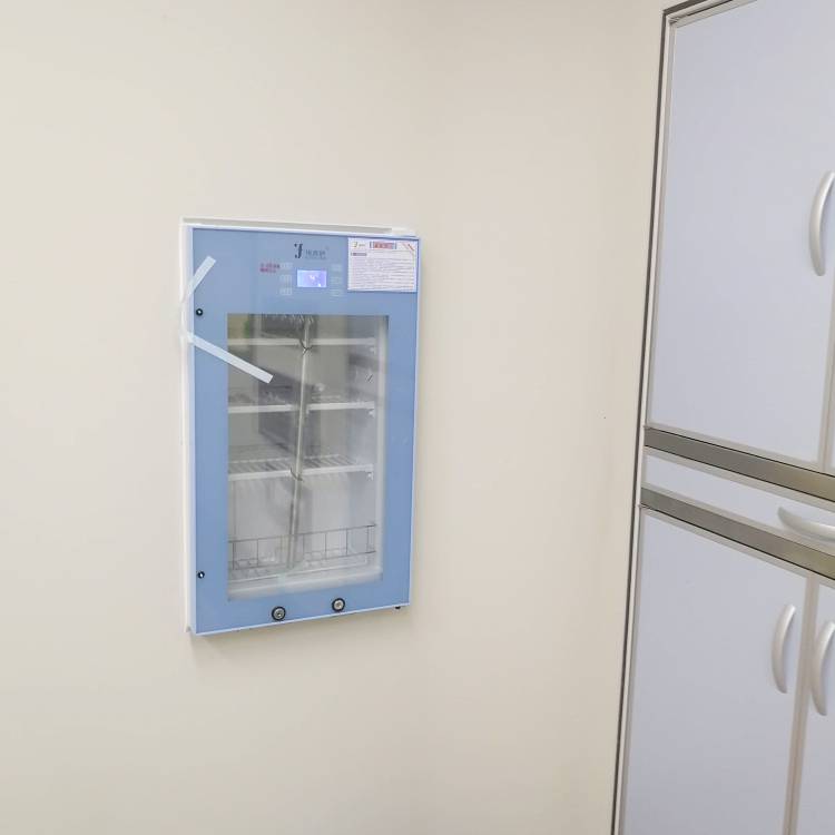 车载冷藏箱温度显示:LED数字显示,车载样品保存设备自动显示箱体内部温度