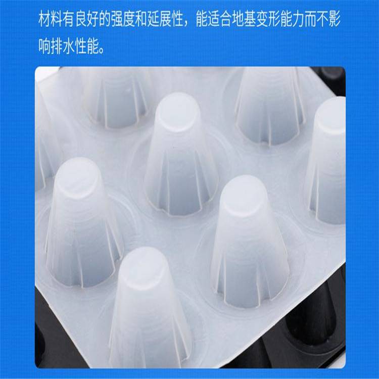 高州蓄排水板厂家-泰东蓄排水板抗压300kpa