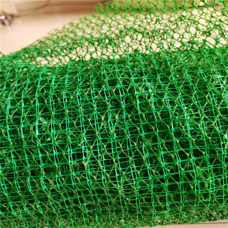 铜陵三维植被网厂家(铜陵市丝瓜络结构三维植被网垫实业集团)