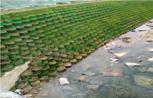 安阳焊接土工格室生产企业2022已更新(派送直达)