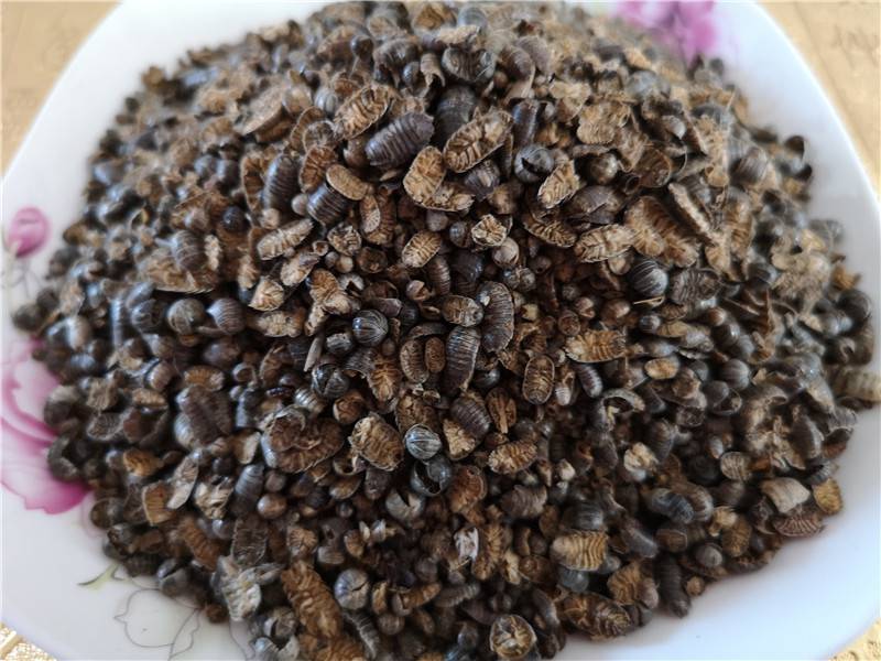 鼠妇虫价格多少钱一公斤鼠妇虫的功效与作用鼠妇虫的