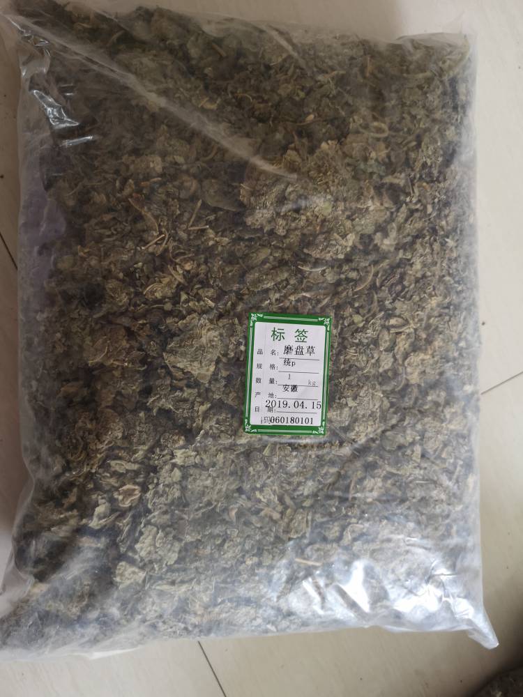 白麻草药用用法及用量磨盘草药用有什么药效