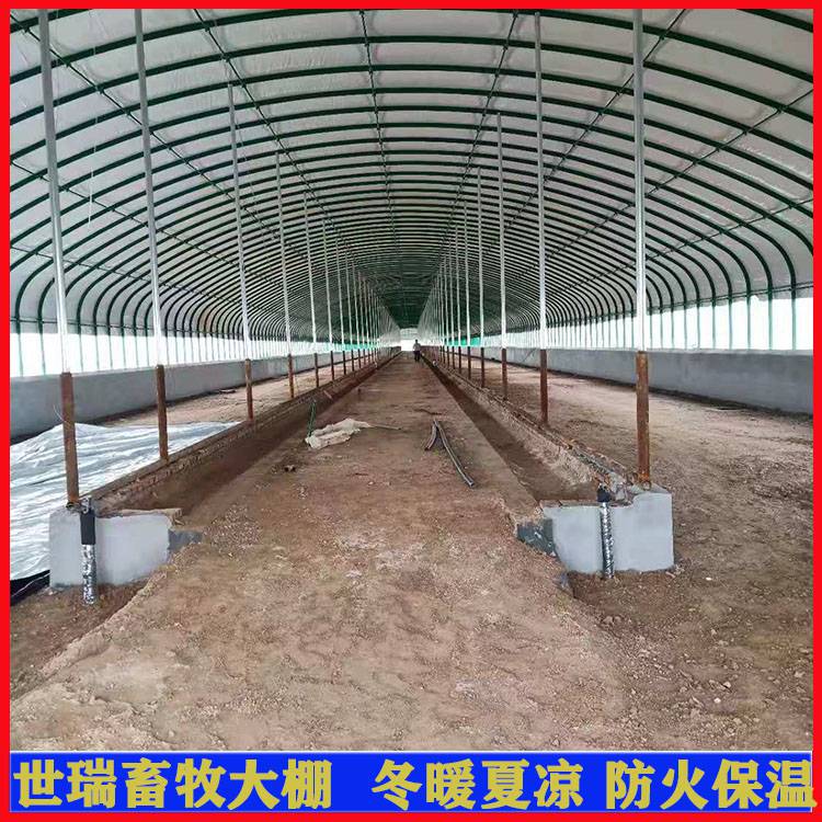 养牛大棚如何建设1-选择场所,建造养牛大棚时,需要注意场地选择,牛的