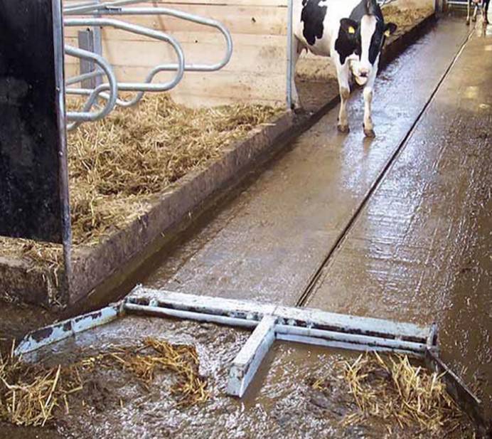 恒力牌养牛场粪便清理设备牛场全自动智能刮粪机奶牛场全自动清粪机