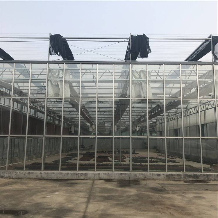 温室大棚玻璃温室 玻璃温室餐厅造价 山西玻璃温室大棚